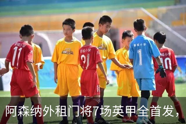 阿森纳外租门将7场英甲全首发，神扑难阻0比1