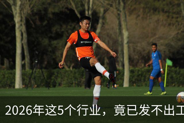 2026年这5个行业，竟已发不出工资！形势真的很严峻了